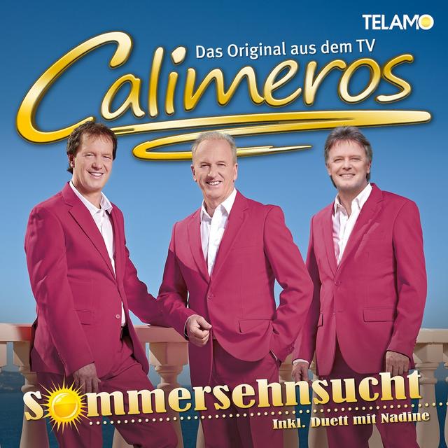 Album cover art for Sommersehnsucht