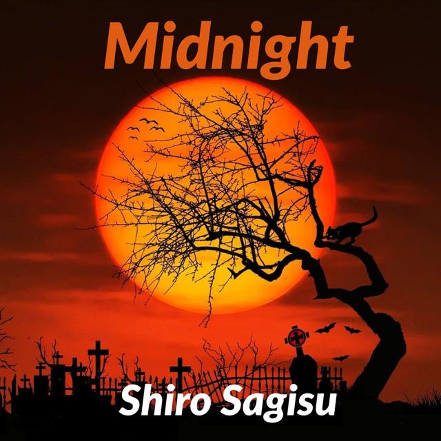 Album cover art for Midnight