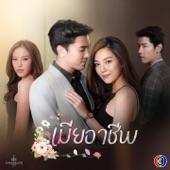 Album cover art for เพลงประกอบละคร เมียอาชีพ