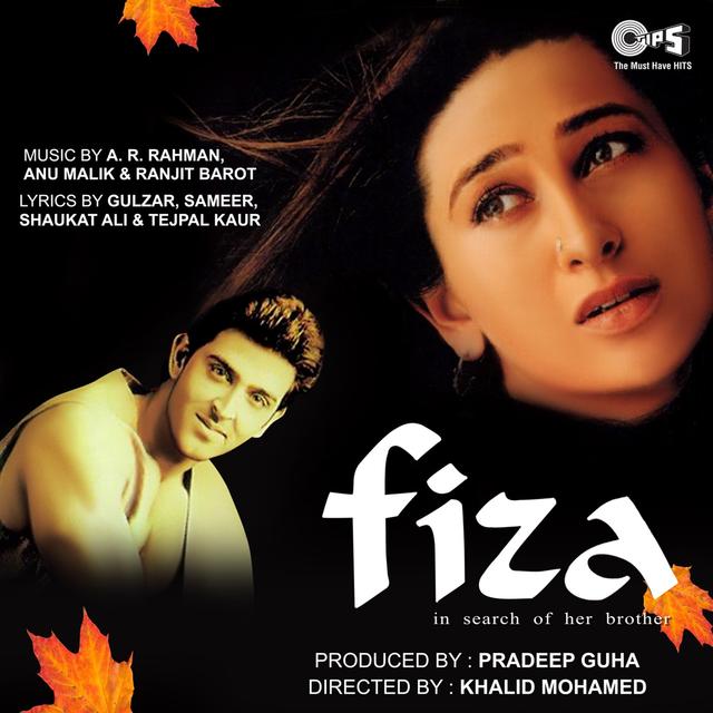 Album cover art for Fiza