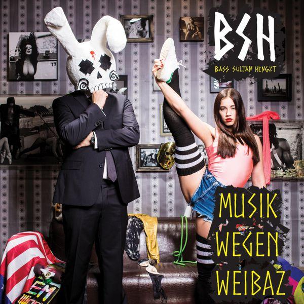 Album cover art for Musik wegen Weibaz