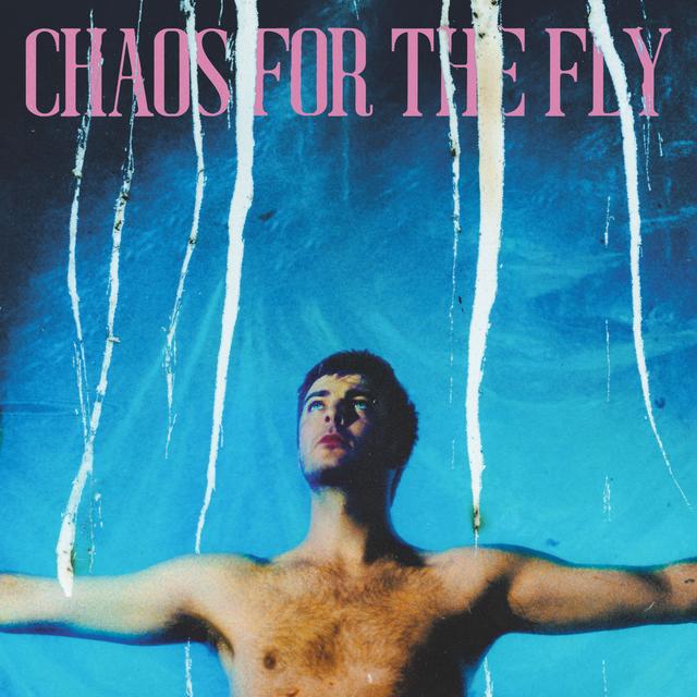 Album cover art for Chaos for the Fly