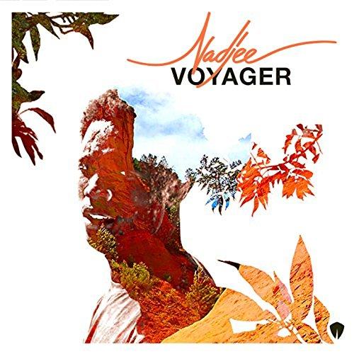 Album cover art for Voyager