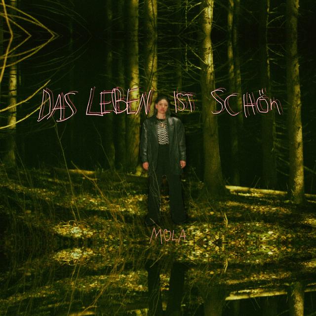 Album cover art for Das Leben ist schön