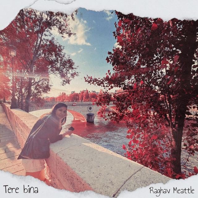 Album cover art for Tere Bina