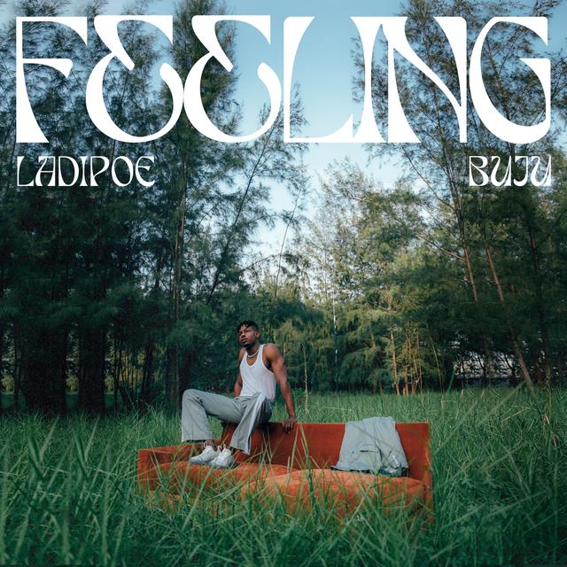 Album cover art for Feeling