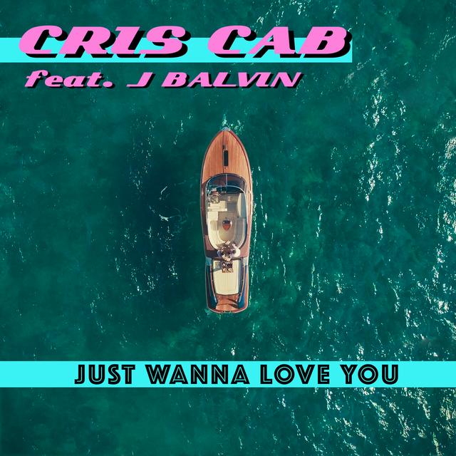 Album cover art for Just Wanna Love You