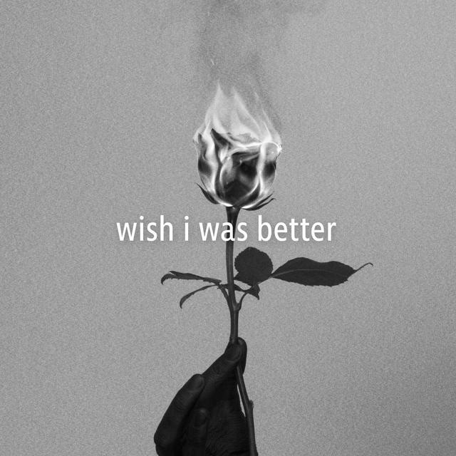 Album cover art for Wish I Was Better