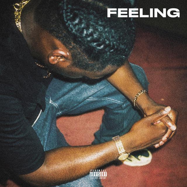 Album cover art for Feeling