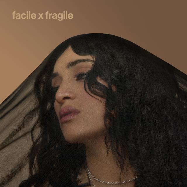 Album cover art for Facile x Fragile