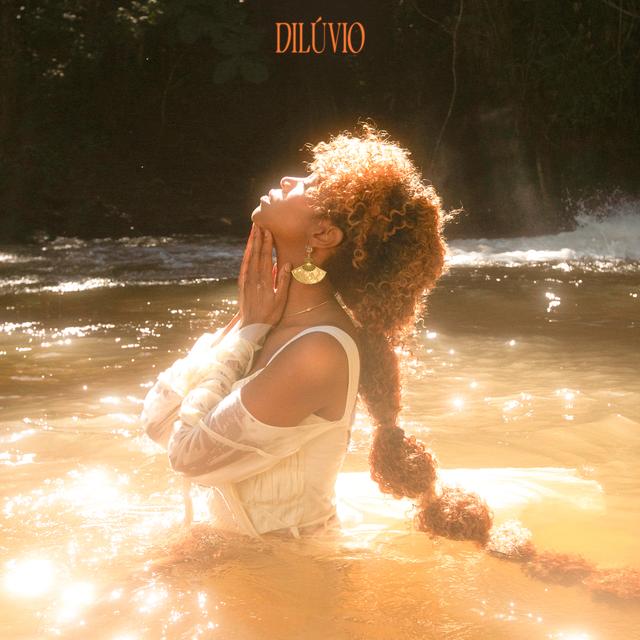 Album cover art for Dilúvio