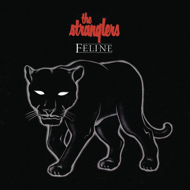 Album cover art for Feline