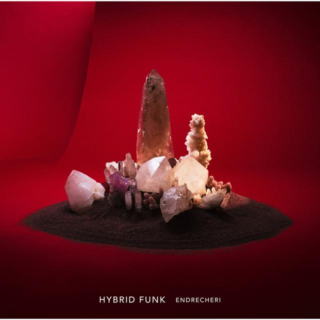 Album cover art for HYBRID FUNK