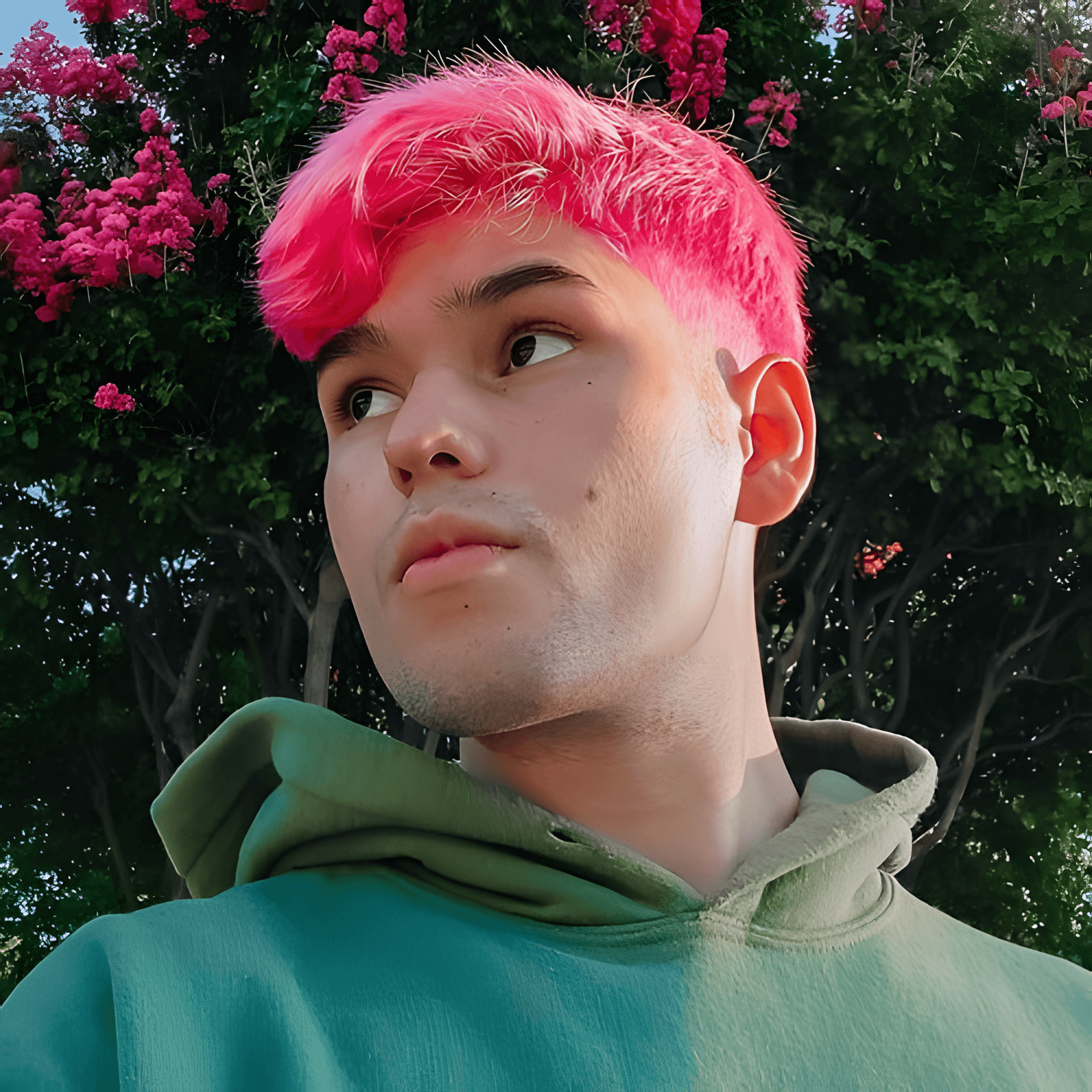 Dynamic cover art